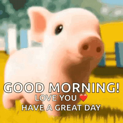 A Picture Of A Pig With The Words " Good Morning Love You Have A Great Day " GIF