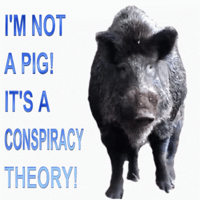 A Picture Of A Pig With The Words " I 'M Not A Pig It 'S A Conspiracy Theory " GIF
