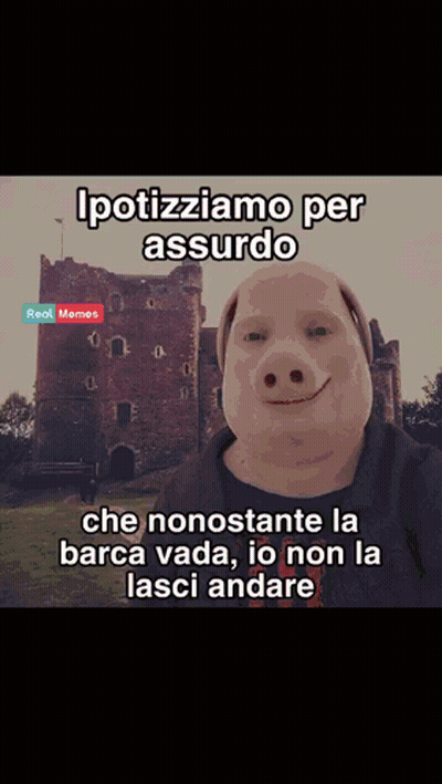 A Picture Of A Pig With The Words Ipotiziamo Per Assurdo On The Bottom GIF