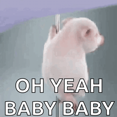 A Picture Of A Pig With The Words Oh Yeah Baby Baby Above It GIF