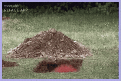 A Picture Of A Pile Of Dirt With The Words Made With Reface App Above It GIF