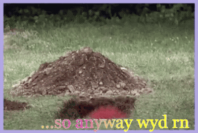 A Picture Of A Pile Of Dirt With The Words So Anyway Wyd Rn On The Bottom GIF