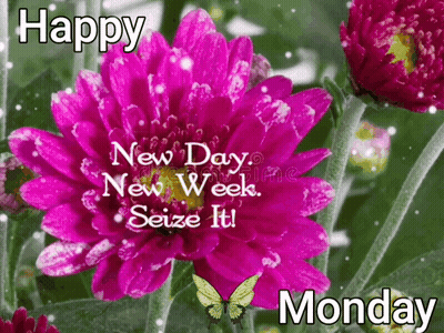 A Picture Of A Pink Flower With The Words Happy New Day New Week Seize It Monday GIF