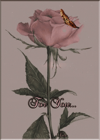 A Picture Of A Pink Rose With A Butterfly On It And The Words For You GIF