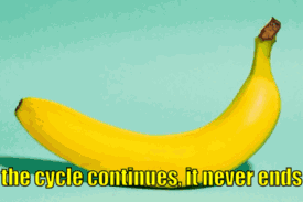 A Picture Of A Plant With The Words The Cycle Continues It Never Ends Below It GIF