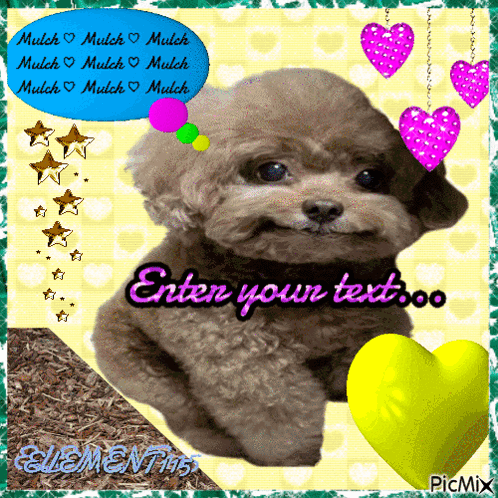 A Picture Of A Poodle With A Speech Bubble That Says " Enter Your Text " GIF