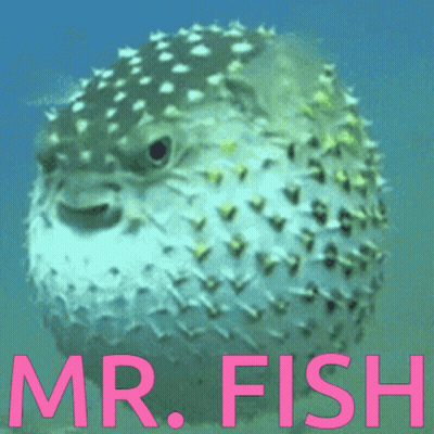 A Picture Of A Puffer Fish With The Words Mr. Fish In Pink GIF