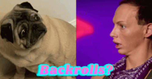 A Picture Of A Pug Dog Next To A Picture Of A Man With The Words Backrolls On The Bottom GIF