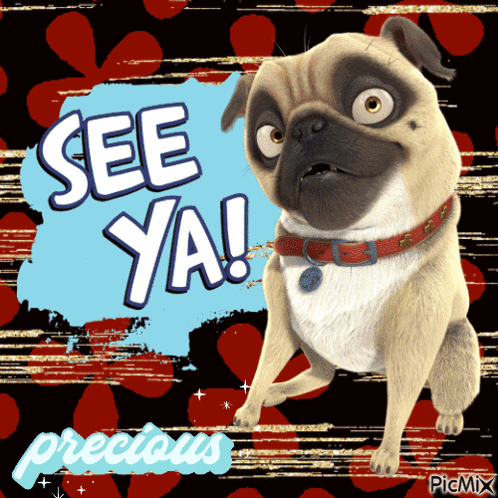 A Picture Of A Pug With The Words See Ya GIF
