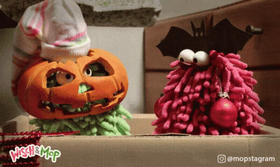 A Picture Of A Pumpkin And A Mop With A Caption That Says ' Washer Mop ' GIF