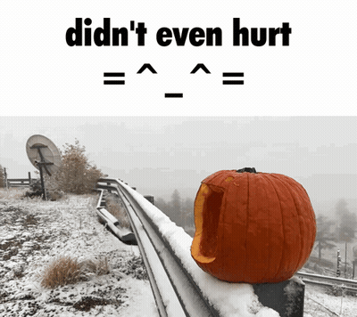 A Picture Of A Pumpkin Sitting On A Snow Covered Railing With The Words Didn 'T Even Hurt Below It GIF