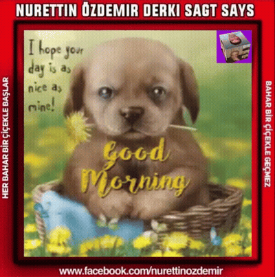 A Picture Of A Puppy In A Basket With The Words Good Morning On It GIF