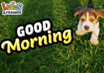 A Picture Of A Puppy With The Words Good Morning GIF