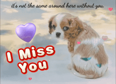 A Picture Of A Puppy With The Words I Miss You On It GIF