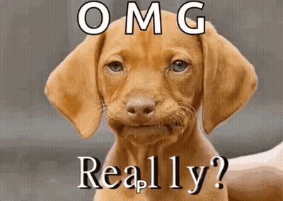 A Picture Of A Puppy With The Words Omg Really Written On It GIF