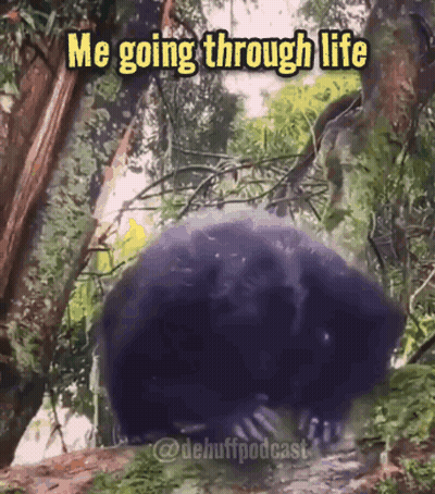 A Picture Of A Purple Object With The Words Me Going Through Life GIF