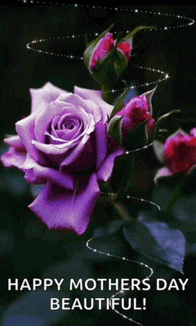 A Picture Of A Purple Rose With The Words Happy Mothers Day Beautiful GIF