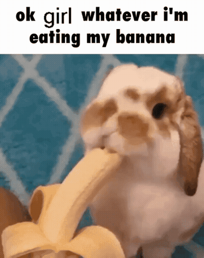 A Picture Of A Rabbit Eating A Banana With A Caption That Says Ok Girl Whatever I 'M Eating My Banana GIF