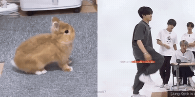 A Picture Of A Rabbit Next To A Picture Of A Person Dancing GIF