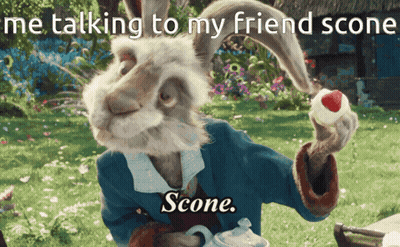 A Picture Of A Rabbit With The Caption " Me Talking To My Friend Scone " GIF