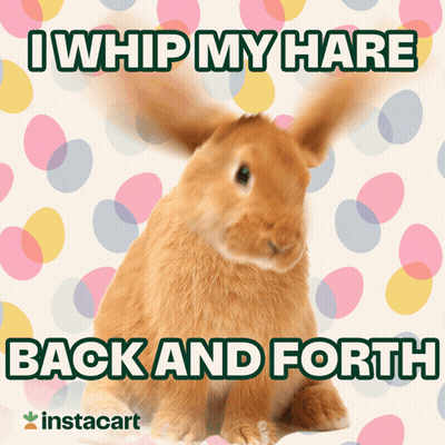 A Picture Of A Rabbit With The Words I Whip My Hare Back And Forth GIF