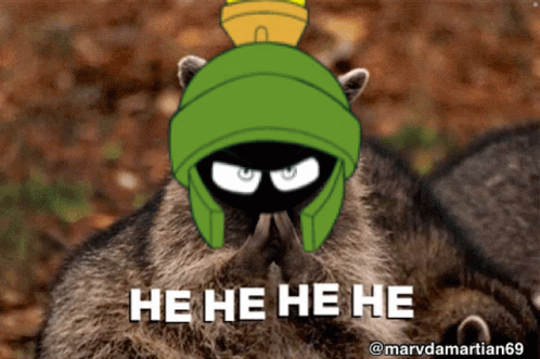 A Picture Of A Raccoon With A Marvin The Martian Hat On GIF