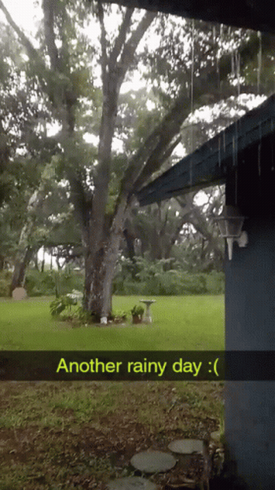 A Picture Of A Rainy Day With The Words Another Rainy Day GIF