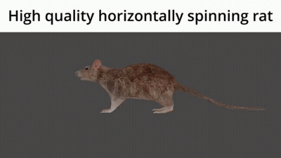 A Picture Of A Rat With The Words High Quality Horizontally Spinning Rat Above It GIF