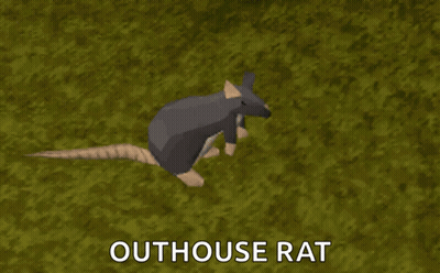 A Picture Of A Rat With The Words Outhouse Rat Above It GIF