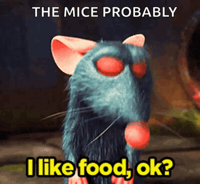 A Picture Of A Rat With The Words " The Mice Probably I Like Food Ok " GIF
