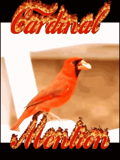 A Picture Of A Red Bird With The Word Cardinal Written In Flames GIF