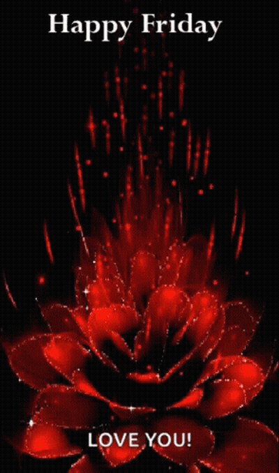 A Picture Of A Red Flower With The Words Happy Friday Love You GIF