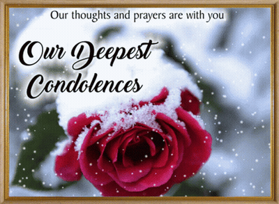 A Picture Of A Red Rose Covered In Snow With The Words " Our Deepest Condolences " GIF