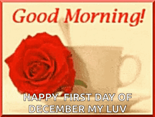 A Picture Of A Red Rose Next To A Cup Of Coffee With The Words Good Morning Happy First Day Of December My Luv GIF
