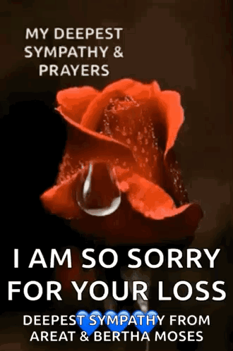 A Picture Of A Red Rose With A Tear Coming Out Of It . GIF