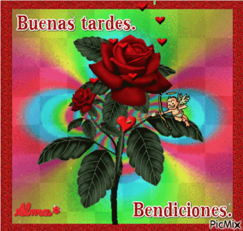 A Picture Of A Red Rose With The Words Buenas Tardes GIF