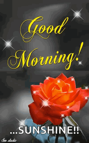 A Picture Of A Red Rose With The Words Good Morning Sunshine GIF