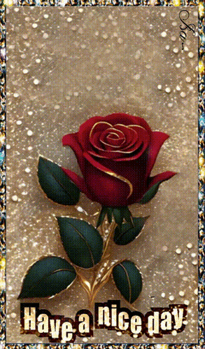 A Picture Of A Red Rose With The Words Have A Nice Day GIF