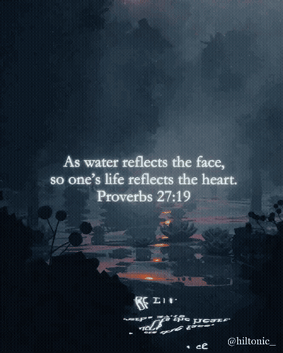 A Picture Of A River With A Quote From Proverbs GIF