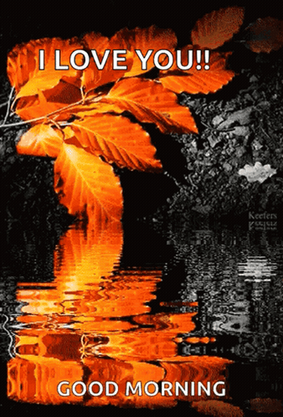 A Picture Of A River With Leaves On It And The Words I Love You Good Morning GIF