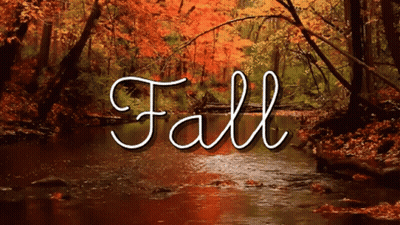 A Picture Of A River With The Word Fall On It GIF