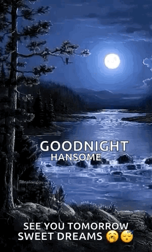 A Picture Of A River With The Words `` Goodnight Hansome See You Tomorrow Sweet Dreams '' . GIF