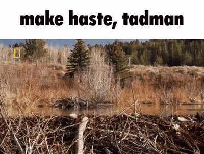 A Picture Of A River With The Words Make Haste Tadman GIF