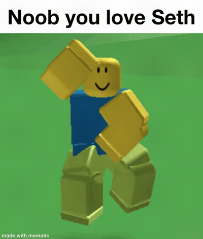 A Picture Of A Roblox Character That Says Noob You Love Seth Made With Mematic GIF