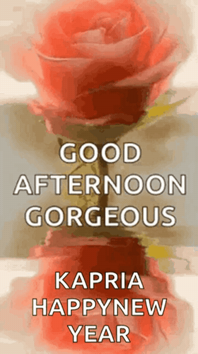 A Picture Of A Rose With The Words `` Good Afternoon Gorgeous Kapria Happynew Year '' GIF