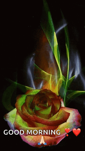 A Picture Of A Rose With The Words Good Morning On It GIF