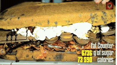 A Picture Of A Sandwich With The Words Fat Counter On It GIF