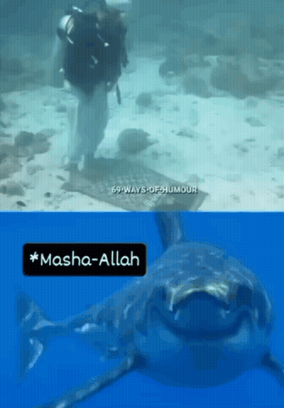 A Picture Of A Scuba Diver And A Picture Of A Shark With Masha-Allah Written On It GIF