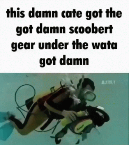 A Picture Of A Scuba Diver With The Caption This Damn Cate Got The Got Damn Scoobert Gear Under The Wata Got Damn . GIF