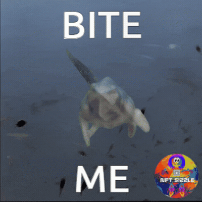 A Picture Of A Sea Turtle With The Words Bite Me Below It GIF